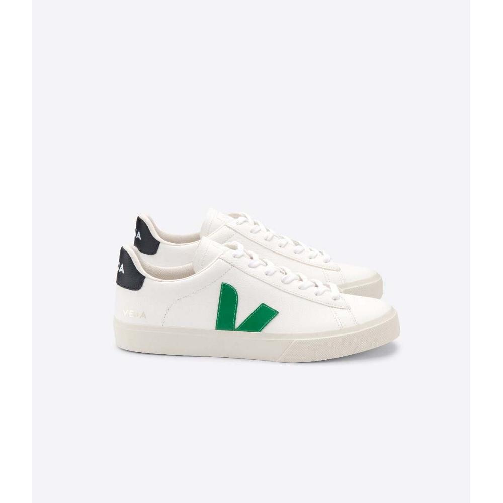 Veja CAMPO CHROMEFREE Women\'s Low Tops Sneakers White/Green | CA 596GSO